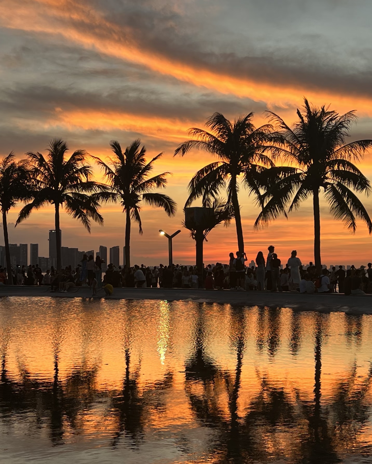 海马故事 | 椰风里的跑道 重拾18岁的风
