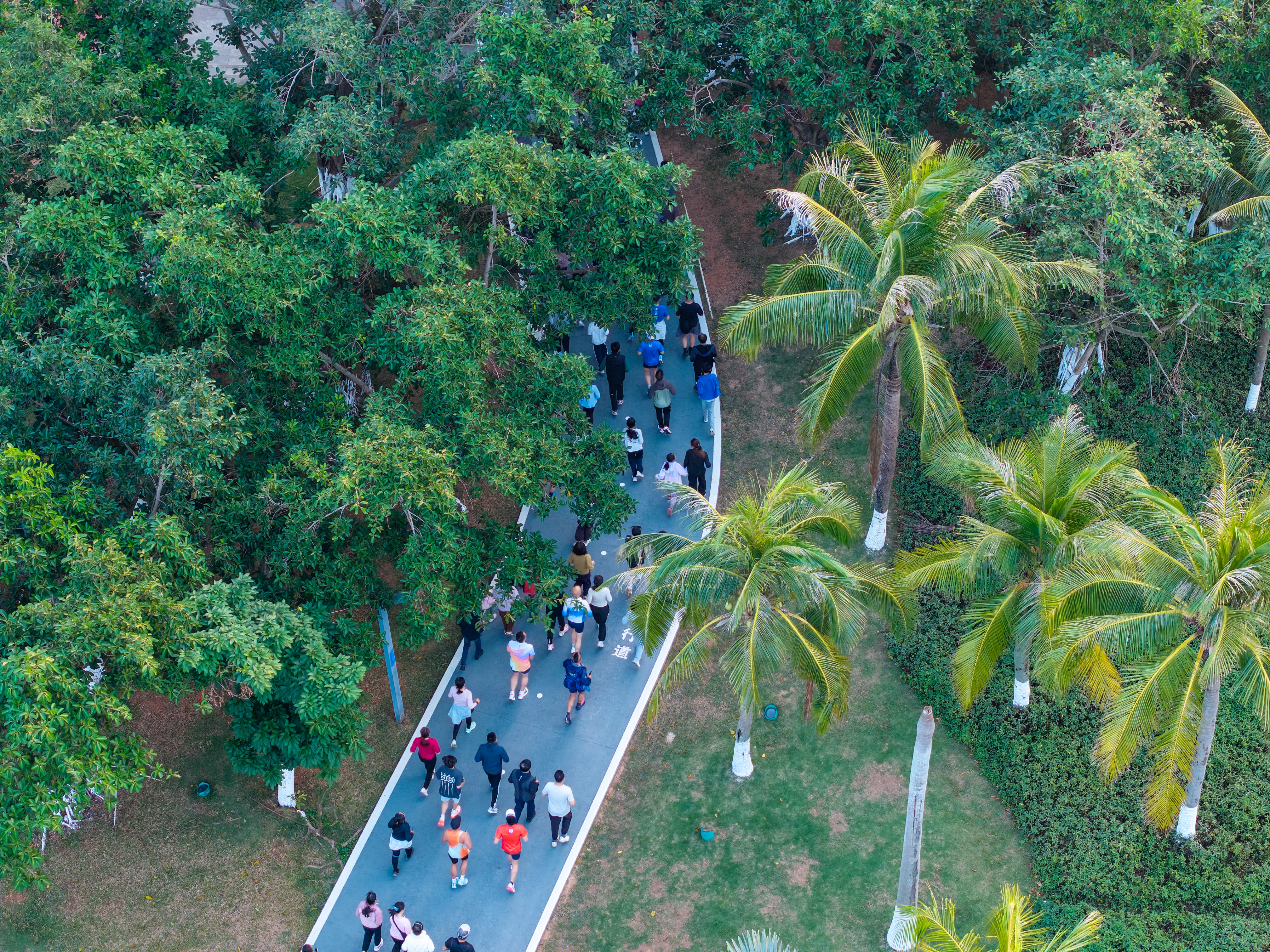 2025海口早餐跑报名正式开启，名额有限，早餐不等人~